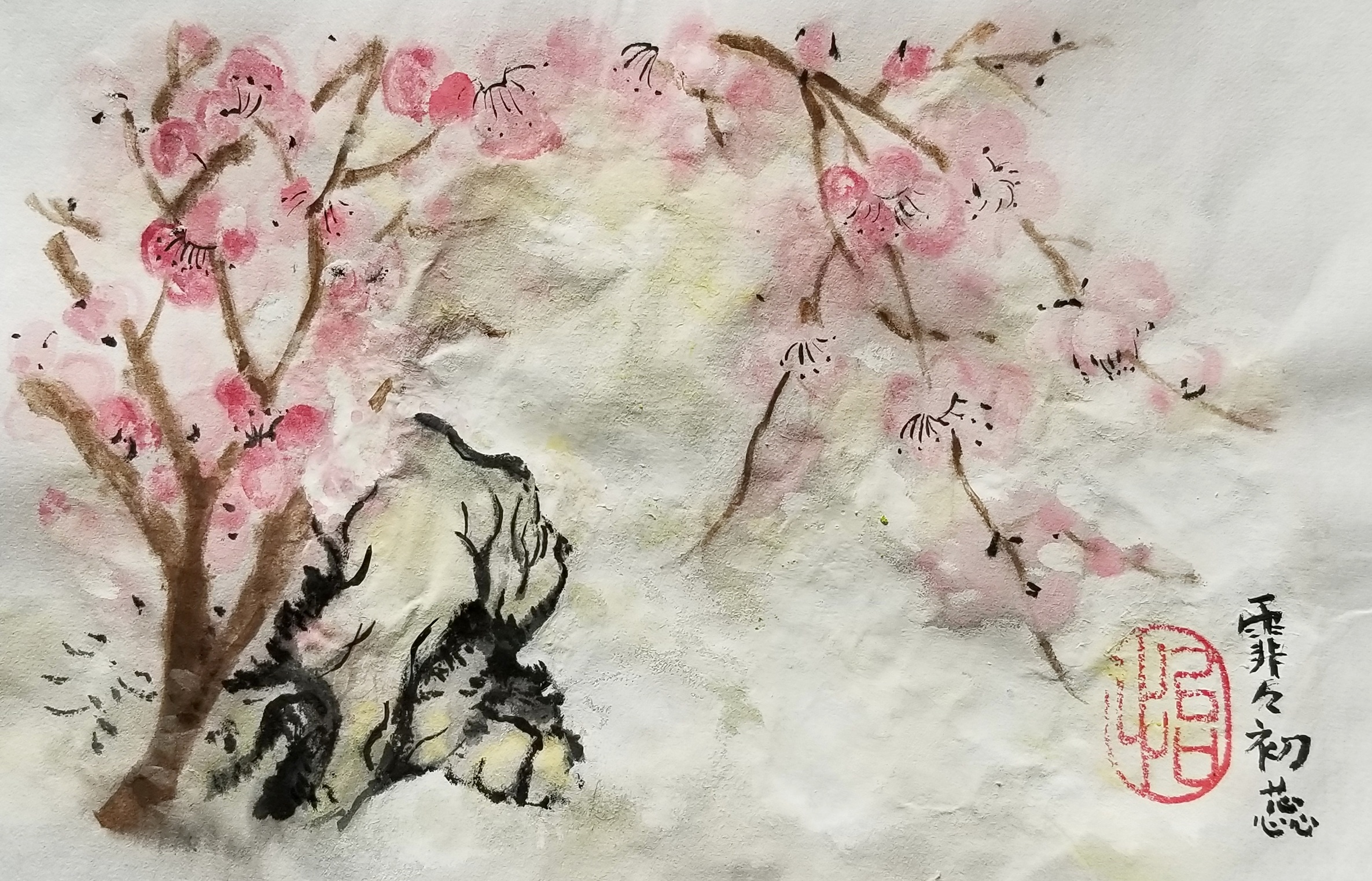 Budding Plum Flowers 菲菲初蕊